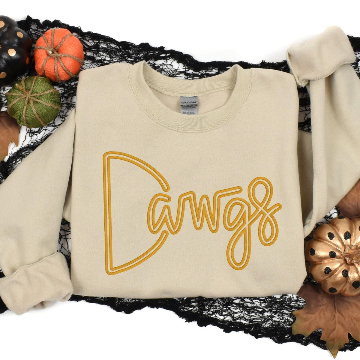 Sand Dawgs embroidered sweatshirt styled with pumpkins for fall game day