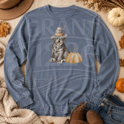 Blue Jean Comfort Colors long sleeve Halloween dog shirt flat lay with witch hat dog and pumpkin