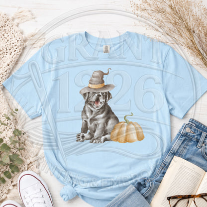 Chambray Comfort Colors short sleeve Halloween dog shirt flat lay with witch hat dog and pumpkin