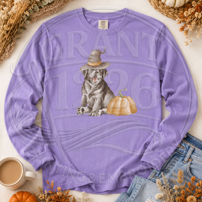 Violet Comfort Colors long sleeve Halloween dog shirt flat lay with witch hat dog and pumpkin