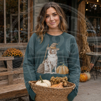 Blue Spruce Australian Shepherd witch long-sleeve fall shirt on model