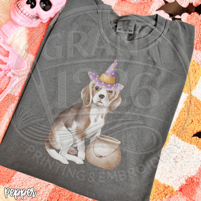 Pepper beagle witch Halloween shirt folded flat lay