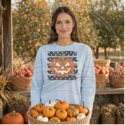 Chambray Comfort Colors long sleeve jack o lantern shirt with retro pumpkin graphic photographed at a fall apple orchard
