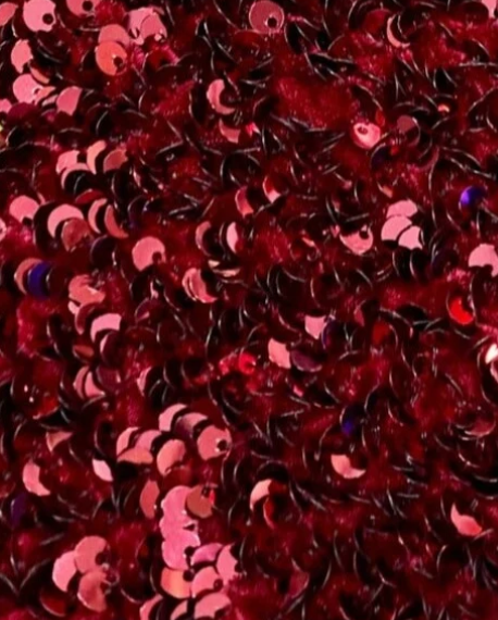 Close-up of red sequins for the Girard Trojans sequin sweatshirt design