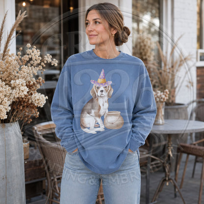 Blue Spruce beagle witch Halloween long sleeve shirt
